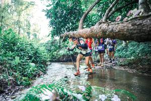 BIB: 
                            <button type="button" onclick="openModal(25445067)" class="btn btn-primary btn-sm float-right btn-popup" data-toggle="modal" data-target=".modal-high-quality">
                        <i class="fas fa-shopping-cart"></i> Add to Cart
                    </button>
                                            <button type="button" onclick="isThisMe(25445067, true)" class="btn btn-success btn-sm float-right btn-popup btn-isme hidden" data-toggle="tooltip" data-placement="bottom" title="นี่คือรูปของคุณใช่ไหม คลิกที่นี่เพื่อเอาเข้าอัลบั้ม">
                        <i class="fas fa-plus"></i> Add to album
                    </button>
                    <button type="button" onclick="isThisMe(25445067, false)" class="btn btn-warning btn-sm float-right btn-popup btn-isnotme hidden">
                        <i class="fas fa-ban"></i> Remove from album
                    </button>